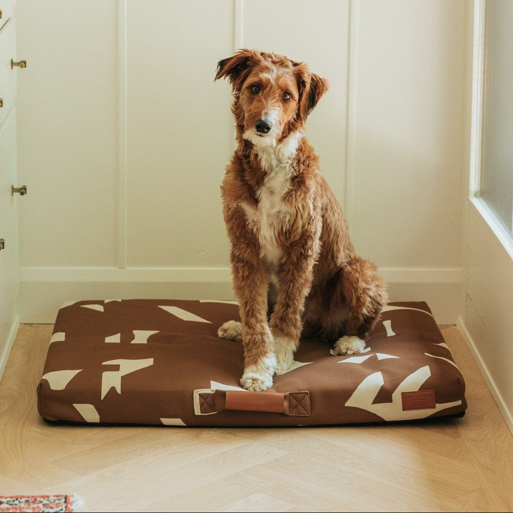John Legend | Brown Fragment Dog Bed or Bed Cover