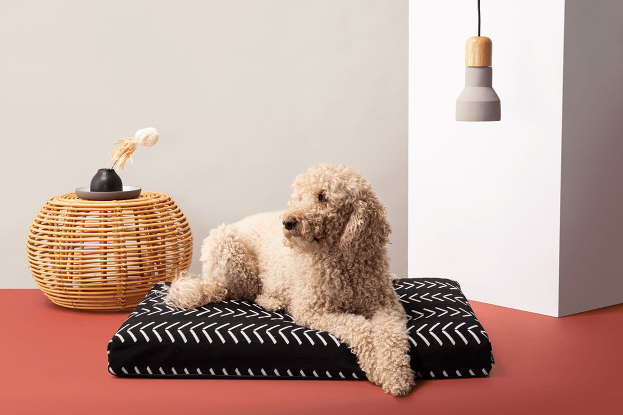 Black Chevron | Boho Dog Bed or Bed Cover