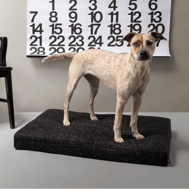 Black Dog Bed | Modern Dog Bed or Bed Cover