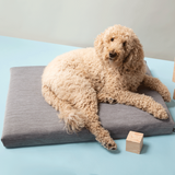 Gray | Modern Dog Bed or Bed Cover