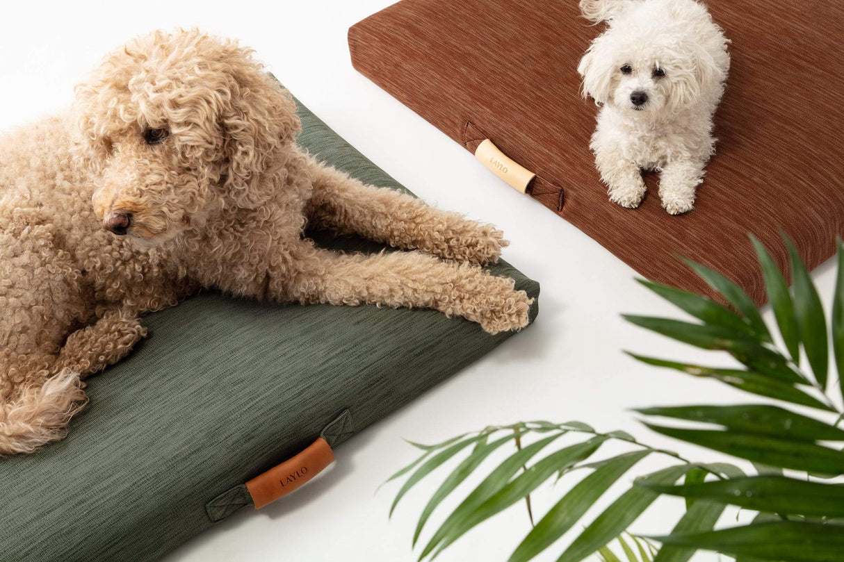 Sage | Modern Dog Bed or Bed Cover