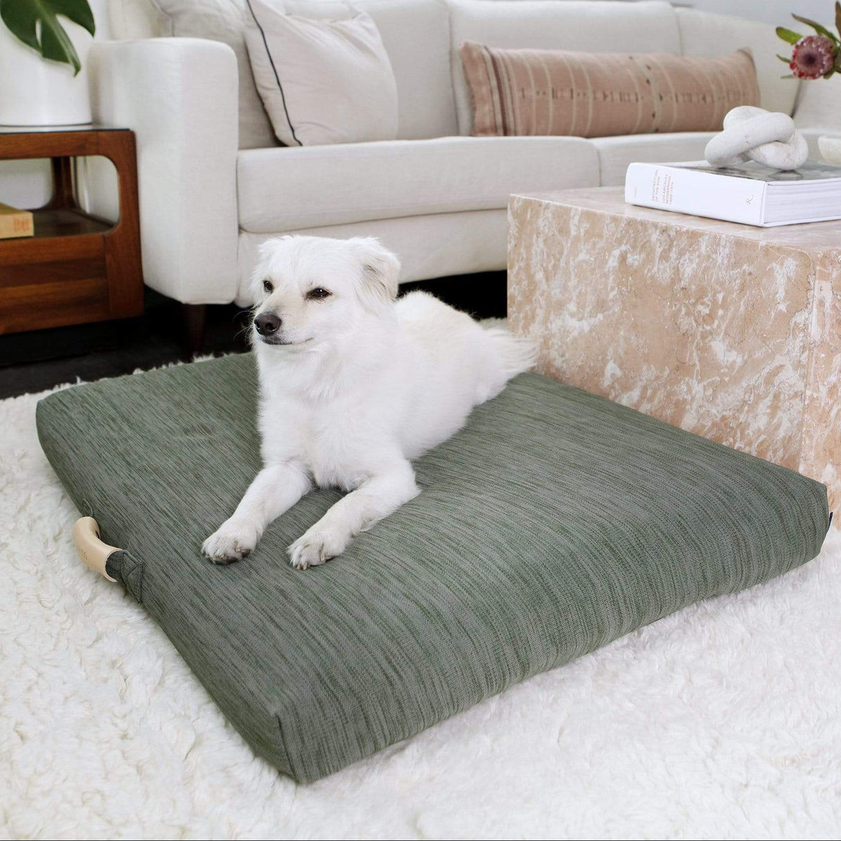 Sage | Modern Dog Bed or Bed Cover