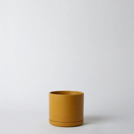 Solid Goods - Ceramic Cylinder with Saucer