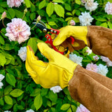 Long Garden Gloves - Rose Pruning Gloves (Soft Cowhide)