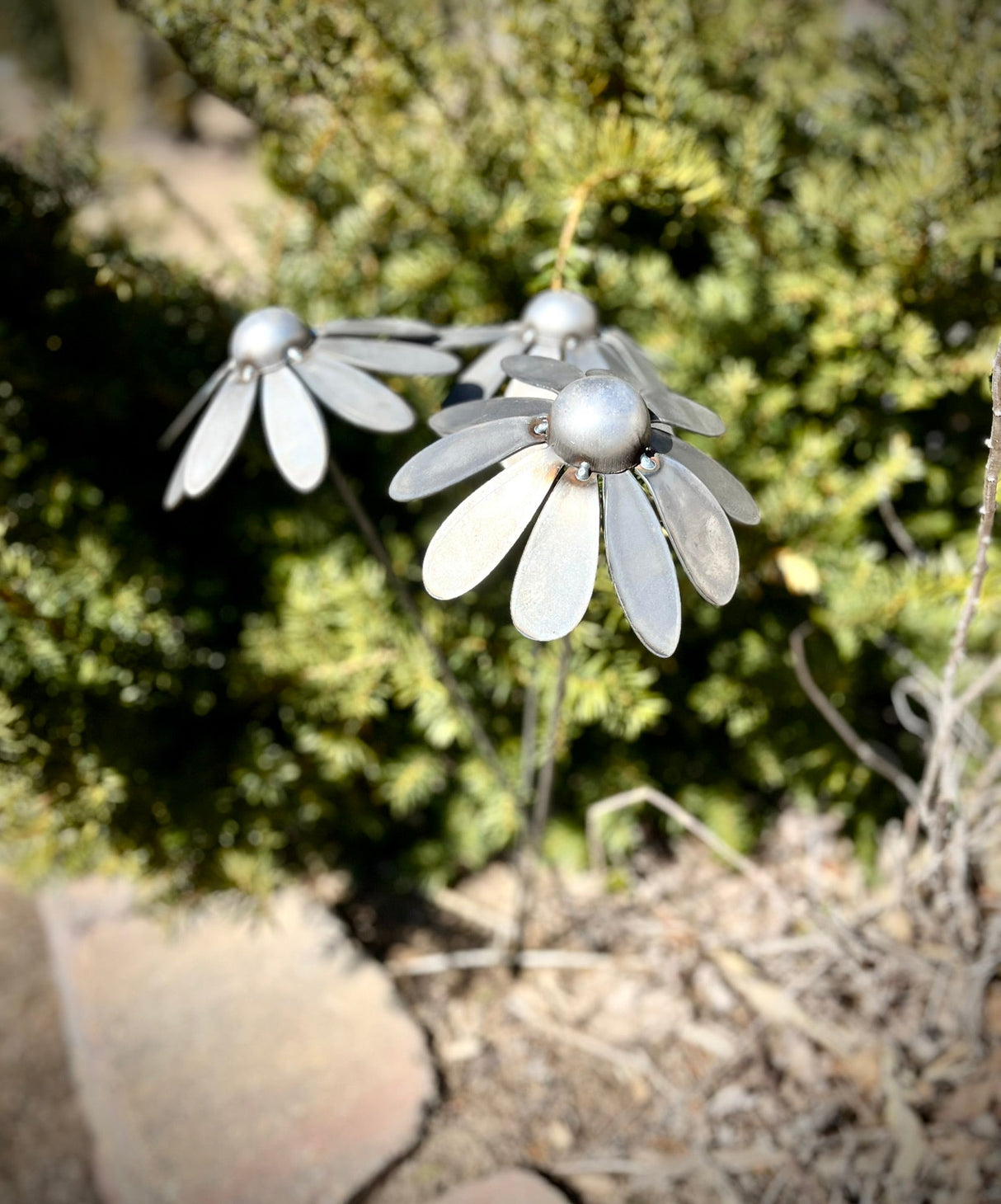 Metal Coneflowers | Yard Art