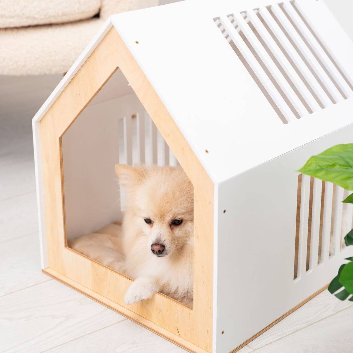 Modern Indoor Dog House