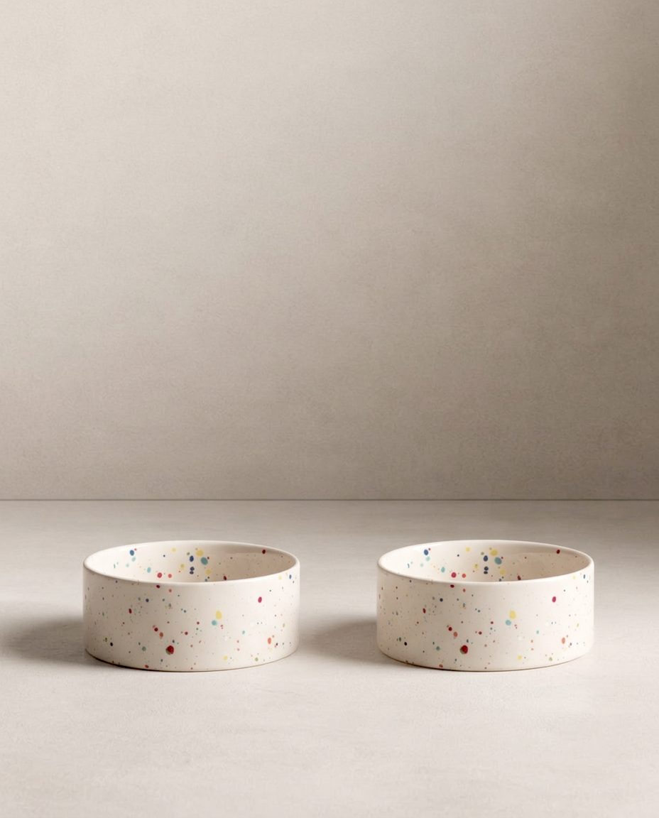 Set of 2 White Medium stoneware ceramic Pet Bowls — Party Collection