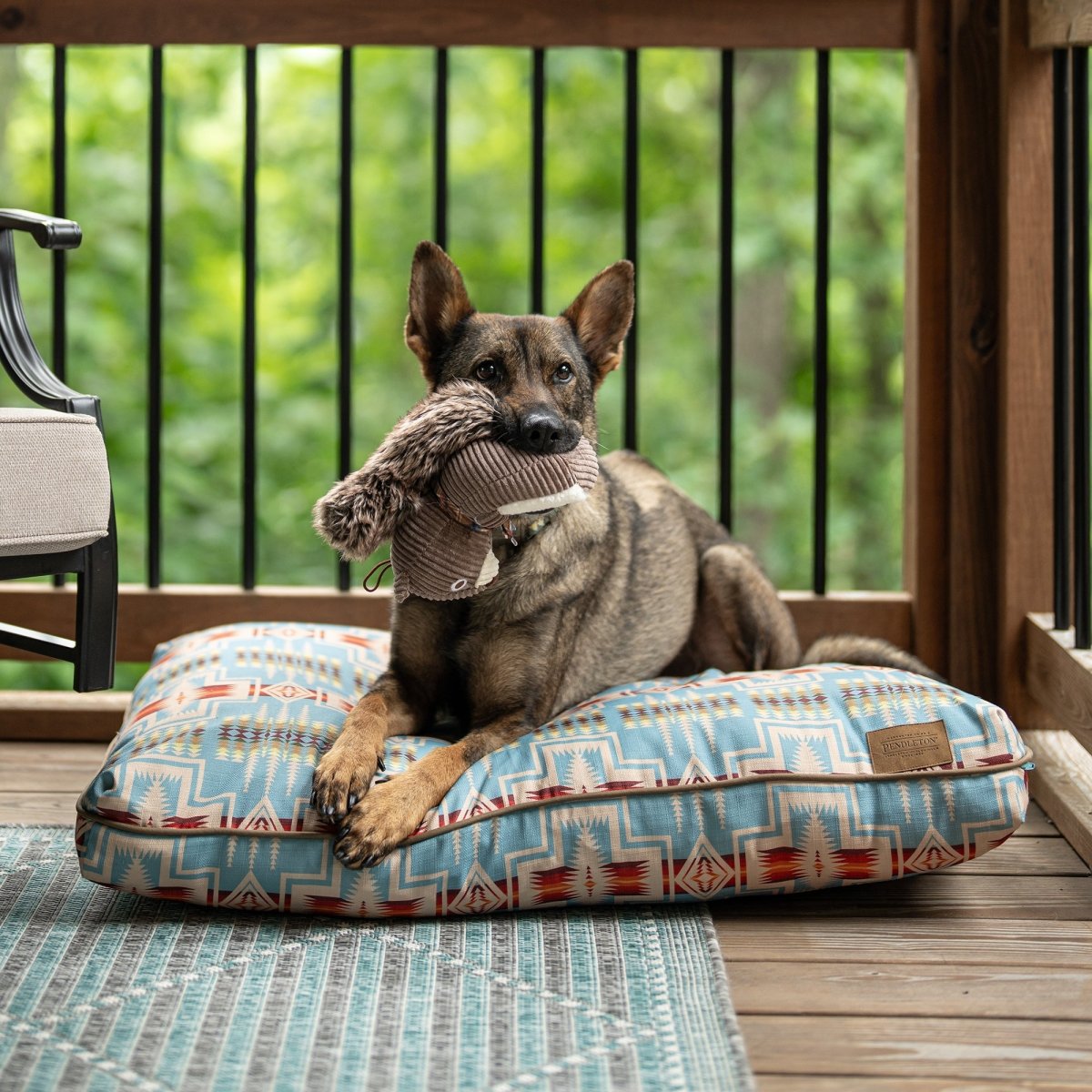 Pendleton All Season Pet Napper