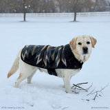 Pendleton Berber Dog Coat