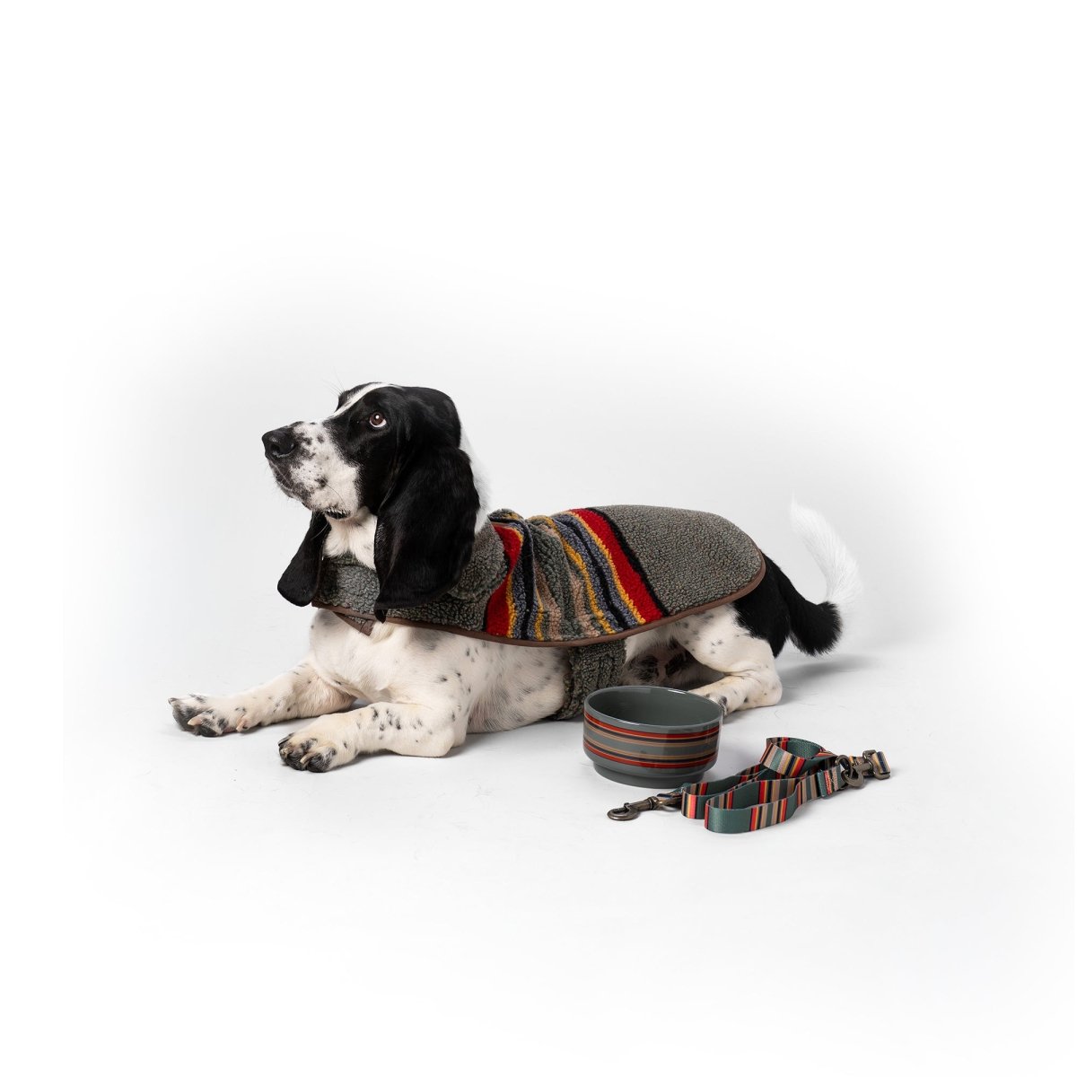 Pendleton Ceramic Food & Water Pet Bowl