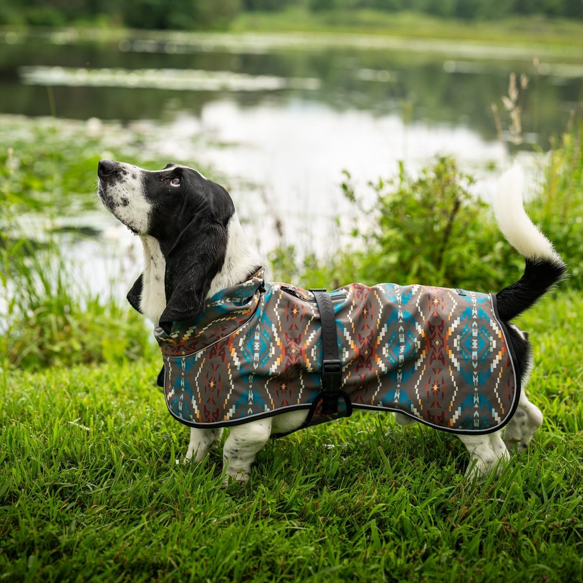 Pendleton Waterproof Adventure Pet Coat – Plow & Hearth
