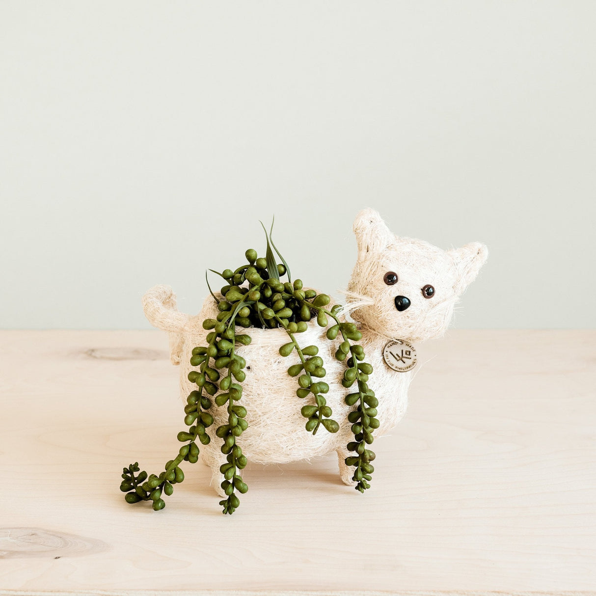 Baby Cat Coir Planter