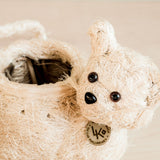 Baby Cat Coir Planter