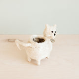 Baby Cat Coir Planter