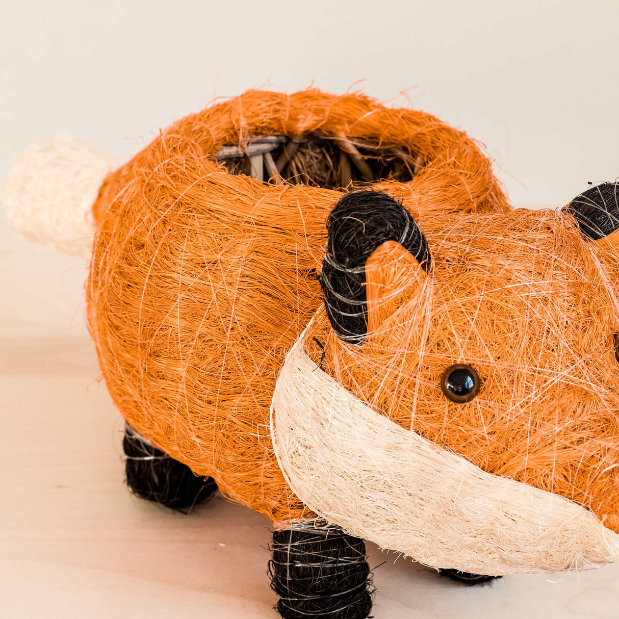 Baby Fox Coir Planter