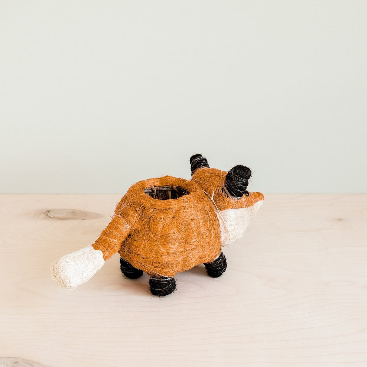 Baby Fox Coir Planter