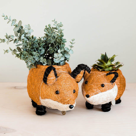 Baby Fox Coir Planter