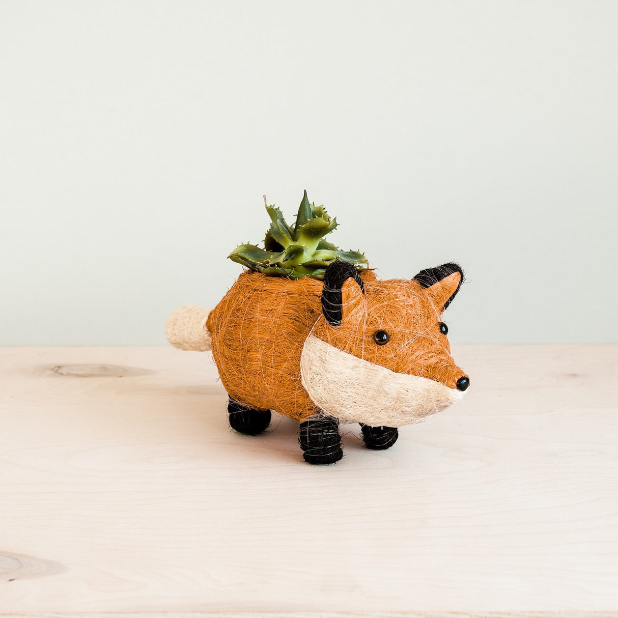 Baby Fox Coir Planter