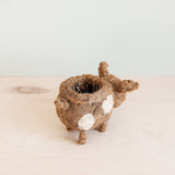Baby Pig Succulent Coir Pot