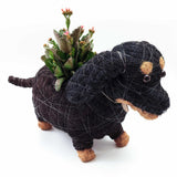 Dachshund Dog Coir Planter