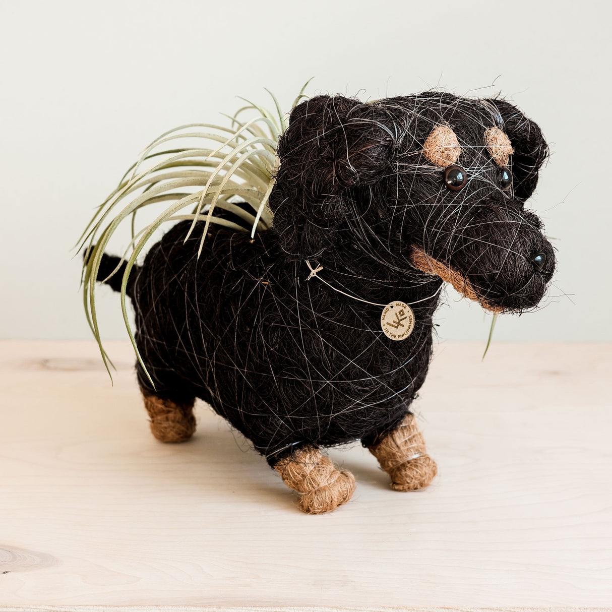 Dachshund Dog Coir Planter