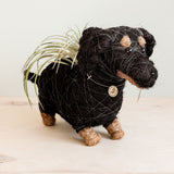 Dachshund Dog Coir Planter