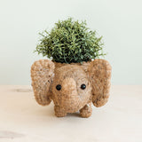 Elephant Coir Plant Pot