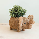 Elephant Coir Plant Pot