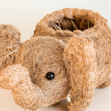 Elephant Coir Plant Pot