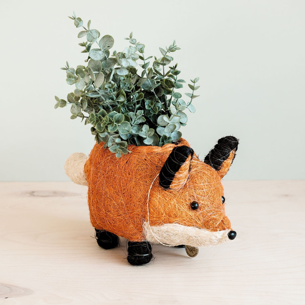 Fox Coir Planter