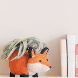 Fox Coir Planter