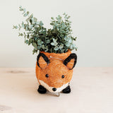 Fox Coir Planter