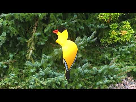 https://www.youtube.com/watch?v=QzbxY8lSCzU