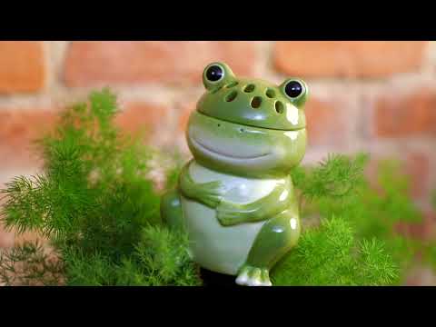 Whimsical Ceramic Fruit Fly/Gnat Trap with Watering Globe – Plow