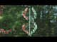 https://www.youtube.com/watch?v=pumrZHqvps4