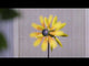 https://www.youtube.com/watch?v=Y7Yj7jkuiwc