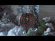 https://www.youtube.com/watch?v=q3evAmQDpYU