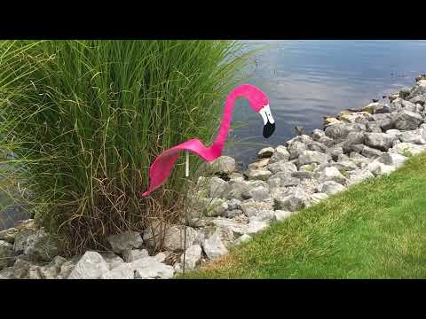 https://www.youtube.com/watch?v=NfLXFBKvzCw