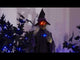https://www.youtube.com/watch?v=K9CDUfZxT7c