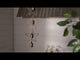 https://www.youtube.com/watch?v=vhp5OLy-zvU