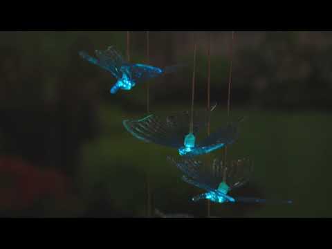 https://www.youtube.com/watch?v=siQIYm0RMw8