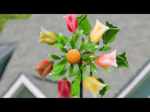https://www.youtube.com/watch?v=2eRYF8-okvk