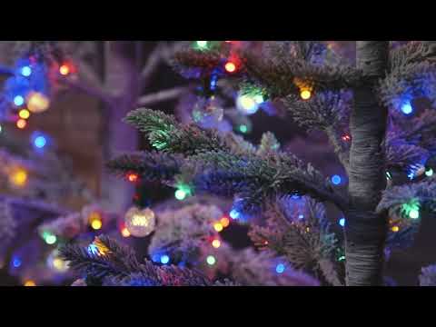 https://www.youtube.com/watch?v=eLB1s43rzYA