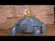 https://www.youtube.com/watch?v=_PiWBs3nYR4