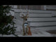 https://www.youtube.com/watch?v=_iUtMVlmiMQ