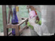 https://www.youtube.com/watch?v=V8dtpw2zNY0