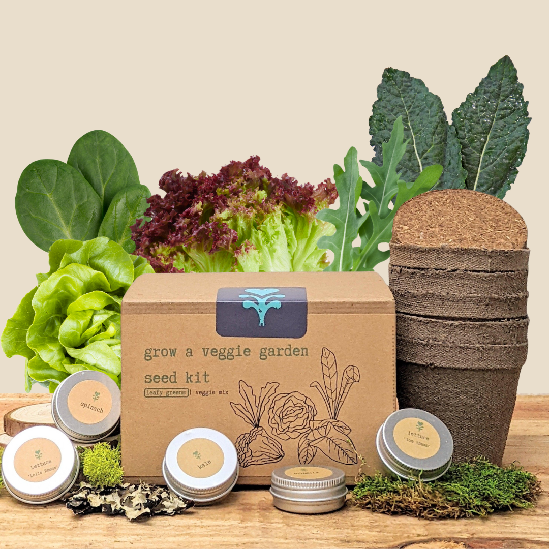 "Grow a Veggie Garden" Leafy Greens Seed Kit