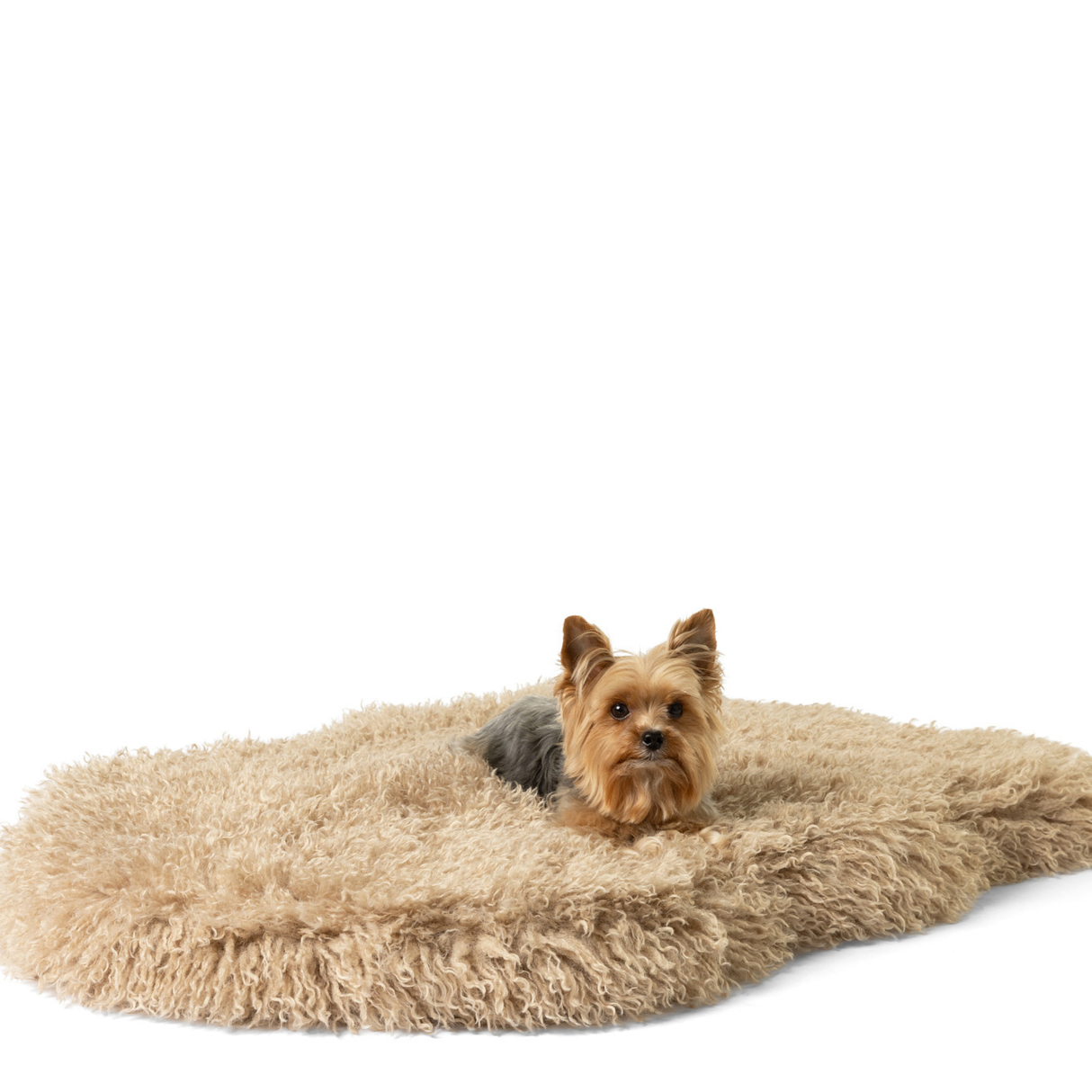 PupRug® Luxe Faux Fur Orthopedic Dog Bed -  Plush Sheep Tan