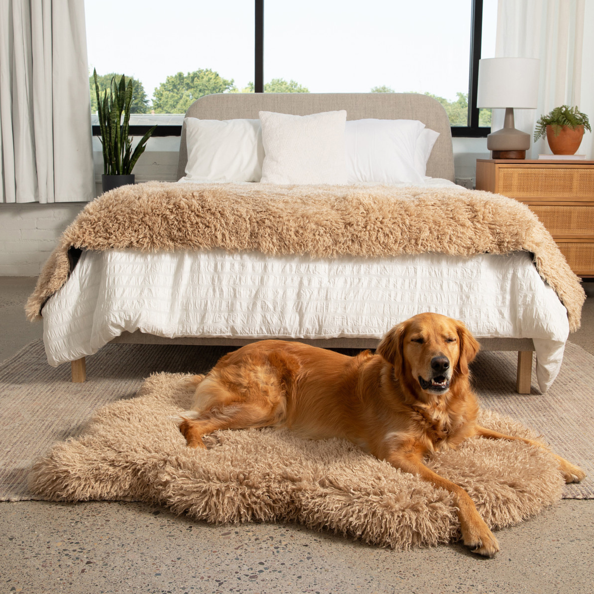 PupRug® Luxe Faux Fur Orthopedic Dog Bed - Plush Sheep Tan – Plow