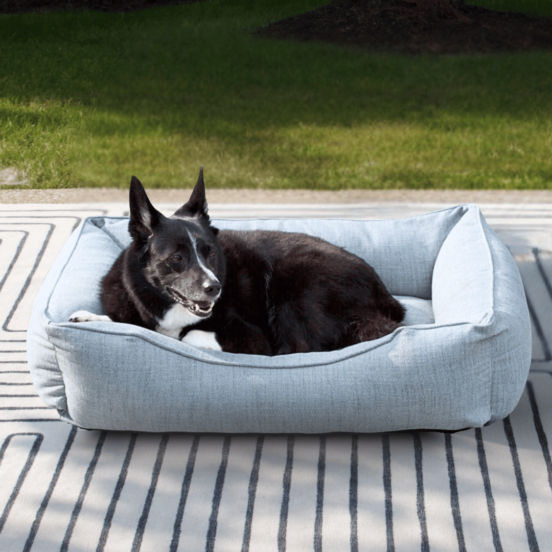 The Sammy Bolster Dog Bed